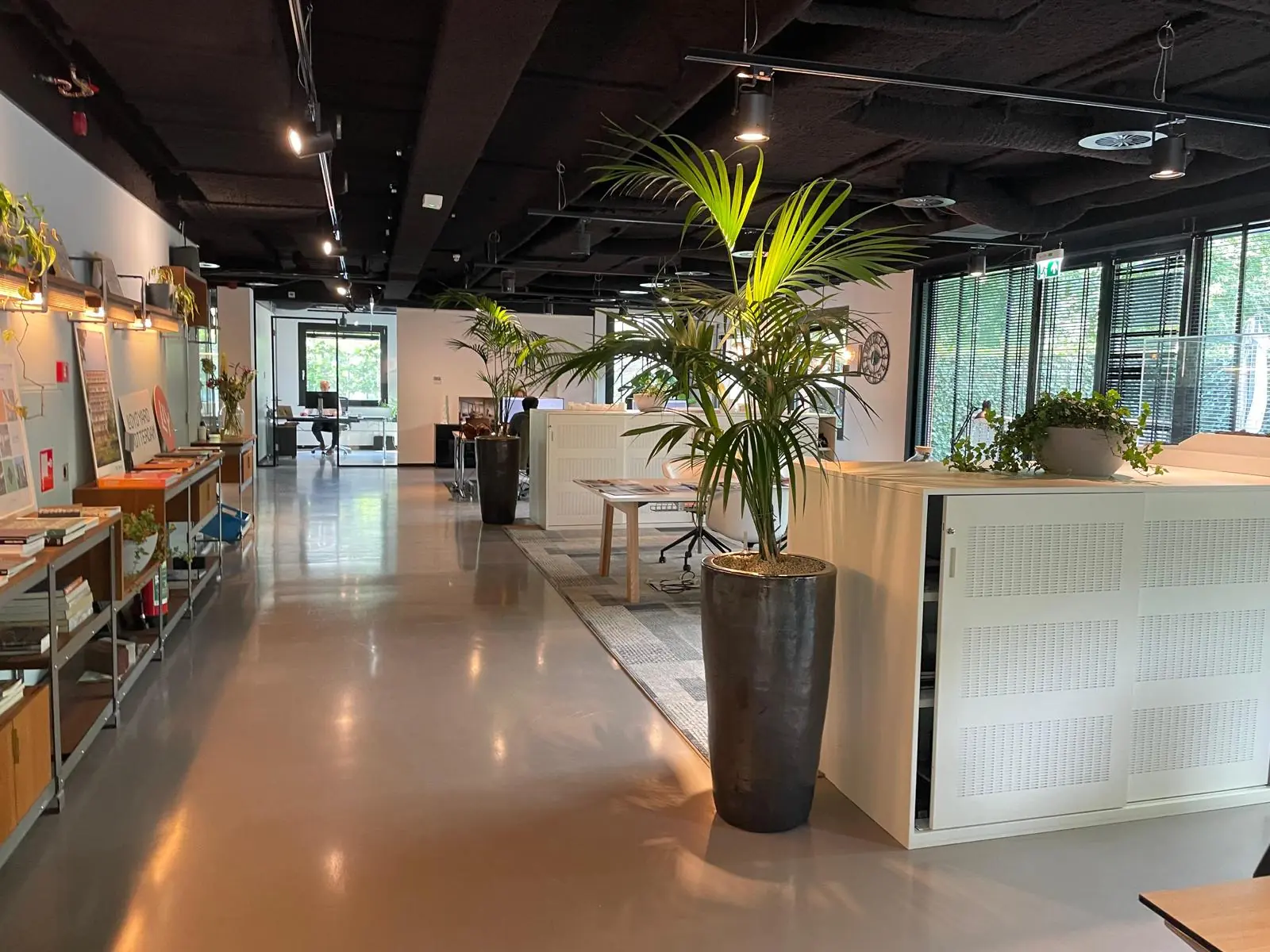 Moderne kantoorruimte aan de De Cuserstraat met veel licht, planten en een open werkindeling.